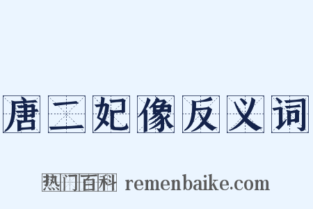 唐二妃像反义词是什么意思的图片